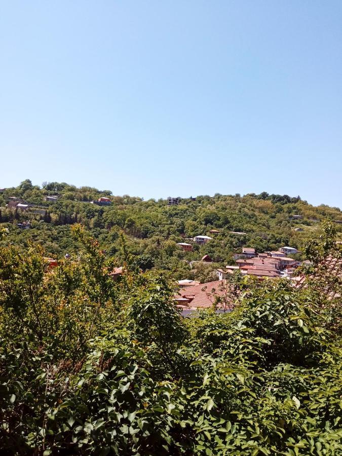 Kizikis Kari Hotel ซิคนาคี ภายนอก รูปภาพ